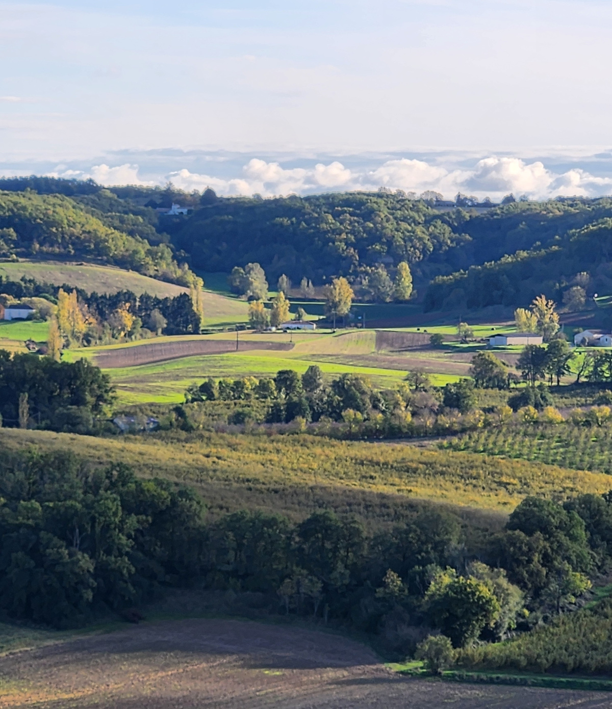 Artistic
            _Vacation_France